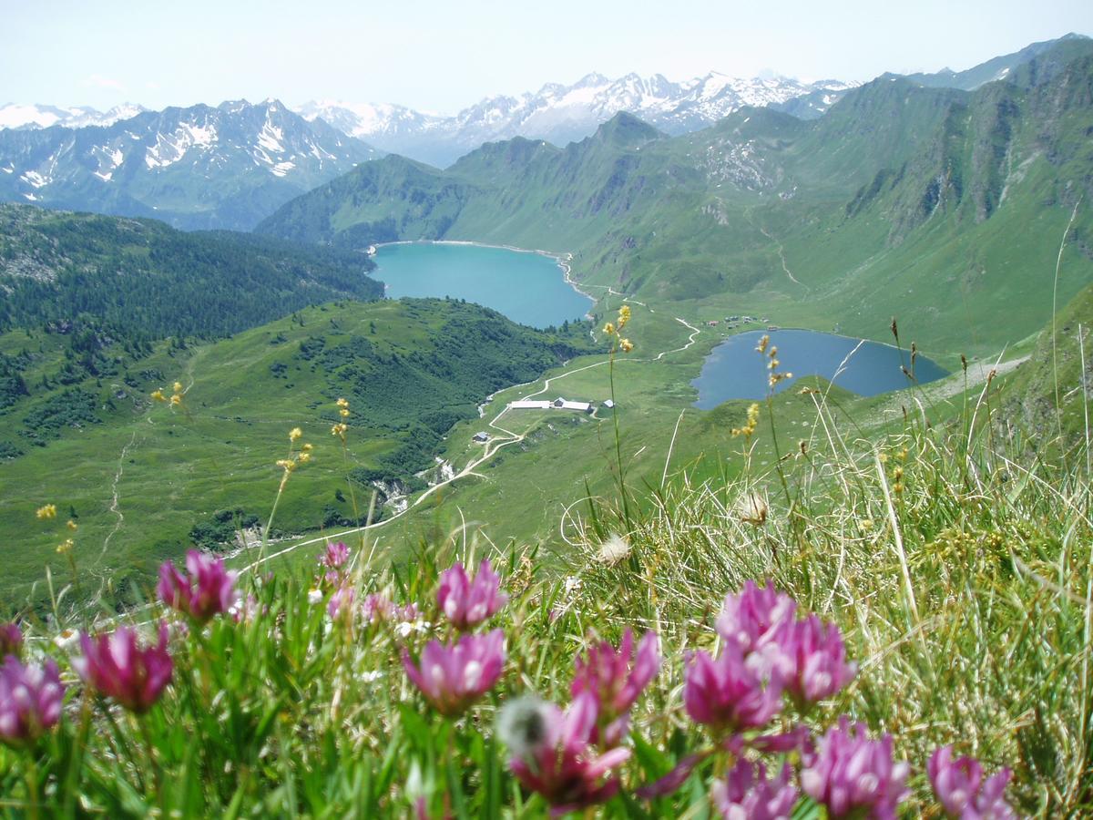 B&B Gottardo Airolo Eksteriør bilde