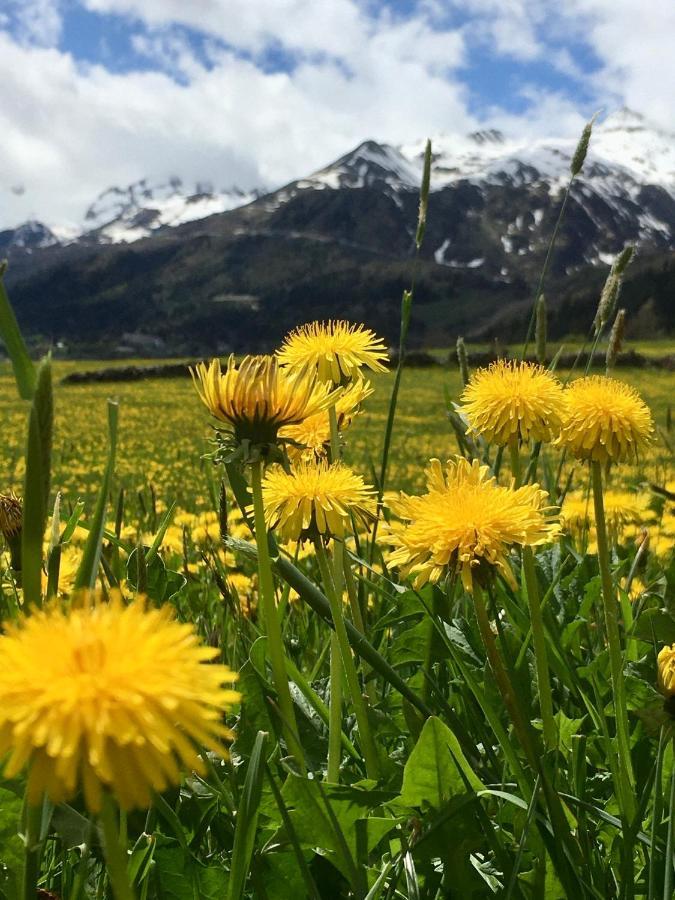 B&B Gottardo Airolo Eksteriør bilde